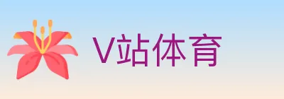 V站体育 logo
